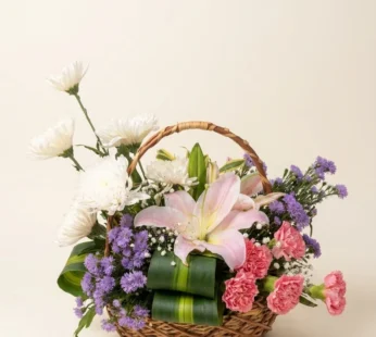 6 Chrysanthemums