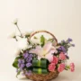 6 Chrysanthemums